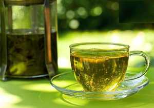 Fournisseur de feuilles de Plantago Asiatica séchées OEM pour les marques de distributeurs privés et les distributeurs mondiaux - Product Image 5