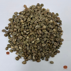 Venta Especial de Granos de Café Verde Robusta S16, Café Crudo de Alta Calidad, Suministro al por Mayor, Empaque Personalizado OEM ODM Disponible - Product Image 1
