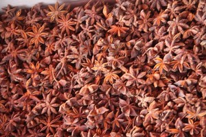 Anís Estrellado de Vietnam en Oferta, Anís Entero Seco Natural, Suministro de Fábrica, Exportación, Especias al por Mayor - Product Image 4