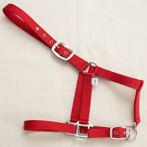 Wholesale Supply Nylon Horse Halter Comfortable Strong Adjustable Headcollar Durable Training Halter Bulk Riding <b>Equestrian</b> - Product Image 6