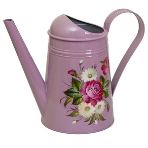 High Arrival Hand Painted Metal Iron Enamel Watering Can Indoor and Outdoor Plants Garden Plants Pot Watering <b>Spray</b> - Product Image 3