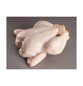 Frozen Whole <b>Chicken</b> Premium Grade Bulk Supply Wholesale for Global Food Markets - Product Image 6