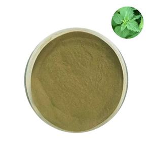 Poudre de feuilles d'ortie OEM 100% pure et naturelle pour tisanes, soins capillaires, soins de la peau et soins personnels - Product Image 1