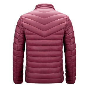 Chaqueta Acolchada Ligera y Resistente al Viento para Hombre, Último Modelo, Personalizada con Impresión de Logotipo, Tela de Lona, para Invierno, Nueva Llegada - Product Image 3