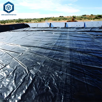 Fabricant professionnel de revêtements en HDPE, fournisseurs de géomembranes en HDPE, revêtement de bassin en HDPE pour les plateformes de lixiviation en hauteur