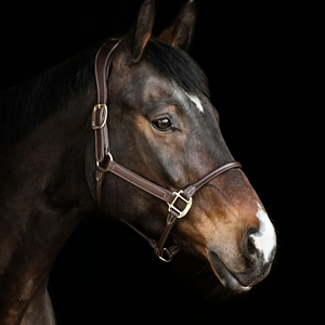 Harnais de cheval en cuir personnalisé avec plaque nominative, collier rembourré réglable, harnais de qualité supérieure - Product Image 4