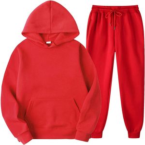 Sudadera con Capucha Ecológica de Color Sólido, 100% Algodón Orgánico, 310g, de Primera Calidad, Nueva Llegada 2025 - Product Image 2