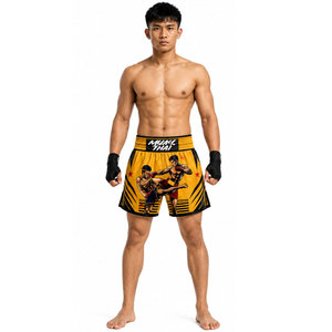 Pantalones Cortos de Muay Thai y Kickboxing Fairtex para Hombre, Mujer y Niños, Pantalones Cortos de Boxeo Estampados de Tailandia para Entrenamiento en Gimnasio, MMA y Jiu-Jitsu - Product Image 3