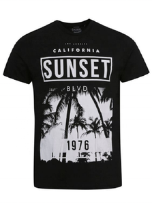 T-shirts en coton grande taille pour hommes, doux et respirants, jersey 200g, col uni, manches courtes, personnalisables avec impression frontale – Offre Spéciale - Product Image 2