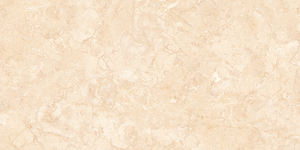 Carreaux de céramique polis brillants Modèle 1014-D 300x600mm - Product Image 1