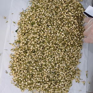 Fabricante Vietnamita de Capullos de Jazmín Secos, Té de Flores de Jazmín Natural, Suministro al por Mayor - Product Image 1