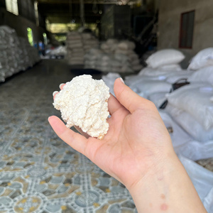 Copra Blanca para Alimentación Animal (Peces, Ganado, Perros, Cerdos, Caballos) de Vietnam, 100% Copra, Grado 1, Bolsas de 40 kg, Bao Son, Venta al por Mayor, 7% de Humedad - Product Image 5
