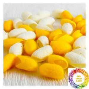 Capullos de Seda de Morera Natural de Vietnam para Producción de Seda Cruda, Aplicaciones Textiles y Suministro a Granel para Exportación - Product Image 2