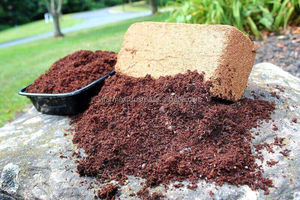 Suministro de Pellets de Fibra de Coco a Gran Escala para Aplicaciones Internacionales en Agricultura y Horticultura - Product Image 3
