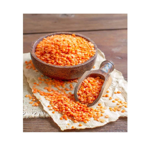 Lentilles Rouges de Qualité Supérieure en Gros, Approvisionnement en Vrac, Qualité Alimentaire Premium, Stock Prêt, Service OEM, Fabricant Exportateur - Product Image 2