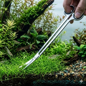 Tijeras Curvas Largas para Acuario, Acero Inoxidable, 10 Pulgadas, Herramienta de Poda para Acuarios, OEM - Product Image 1