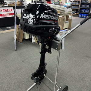 2025 Mercur_y 2.5MH Tiller Handle - Product Image 4