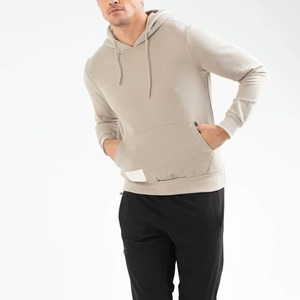Sweat-shirt à capuche personnalisé pour homme, en polaire d'hiver, coupe oversize décontractée, vente en gros OEM, beige, coupe classique - Product Image 1