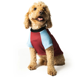 Custom Logo Premium Mesh Dog Dresses Soft Breathable Comfortable Sports Design All Seasons Small Medium - Product Image 1