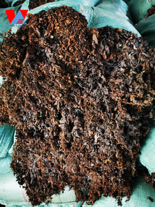 สาหร่าย Sargassum จากเวียดนาม100% สารปรุงแต่งปราศจากสารเคมี/คุณลิมา - Product Image 5