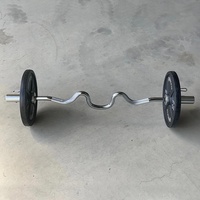 SMARTFIT vente en gros personnalisé 120cm 47 "EZ Super Curl barre d'haltères haltérophilie équipement de gymnastique rotatif 50mm 2 ''grand trou