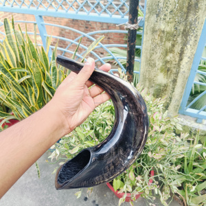 Shofar de cuerno de carnero pulido tradicional hecho a mano ecológico para rituales de oración celebraciones culturales y sonido espiritual - Product Image 5