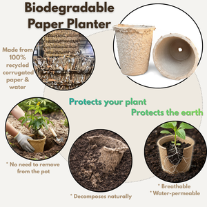 Superior Quality seedling <b>tray</b> recycled paper high quality seedling <b>tray</b> for export - Product Image 3