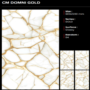 Azulejos de Porcelana CLAYTON CERAMIC de Primera Calidad, Acabado Brillante, 600x1200mm, 8.5mm de Grosor, Antideslizantes, Hechos en India - Product Image 1