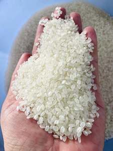 Riz blanc à grains courts séché récolte 2026 texture moelleuse pour restaurants, vente au détail et en gros. Contactez-nous dès maintenant (Mme Elena +84 966 659 976) - Product Image 2