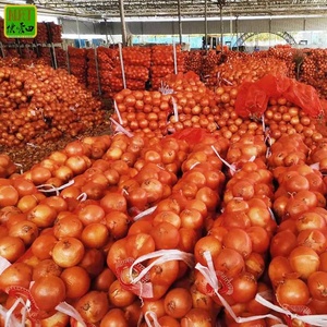 <b>Fresh</b> Red Onion Whole Bulb Aromatic <b>Vegetable</b> 30cm 25kg Non-Peeled for Retail Grocery - Product Image 6