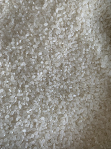 ข้าวขาวเมล็ดสั้นเวียดนาม ST21 สดใหม่ นุ่ม คุณภาพสูง ปลอดภัยสำหรับการส่งออก ผลผลิตปีนี้ บรรจุถุง 5กก.-50กก. - Product Image 4