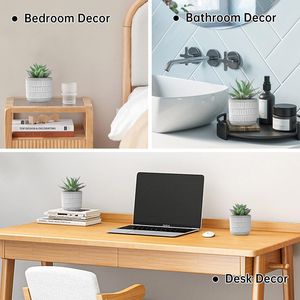 Set di 2 Piante Grasse Artificiali Estetiche, Cactus Finti per Arredamento Casa, Soggiorno, Bagno, Camera da Letto, Decorazione Scaffali - Product Image 4