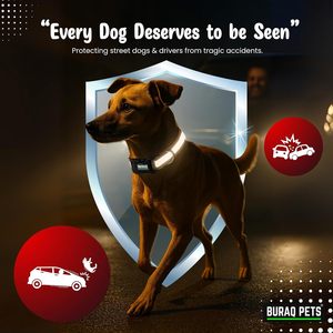 Max Reflective Dog <b>Collar</b> OEM ODM Custom Logo Adjustable Nylon Pet <b>Collar</b> Direct Manufacturer - Product Image 3