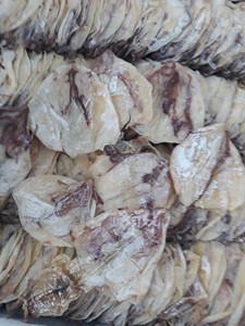 Excellent rapport qualité-prix, Sécheur de calamars sûr, propre et écologique, Pur produit de la mer, Idéal pour la préparation de plats de fruits de mer et la présentation de snacks de bar, Prix direct - Product Image 4