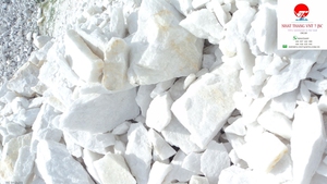 Poudre de carbonate de calcium revêtue en promotion pour masterbatch de remplissage, haute capacité de charge, bonne dispersion - Product Image 2