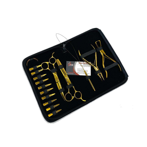 Professional Gold Stainless Steel Hair Extension Tool Kit Micro <b>Ring</b> Applicator & Removal Plier Hair Cutting & <b>Thinning</b> Scissors - Product Image 1