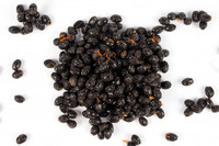 Rode Lady Zoete Gedroogde Papaya Zaden Gedroogde Kruidenthee Uit Vietnam Bulk Vacuümverpakking met 100% Natuurlijke Papain voor Groothandel