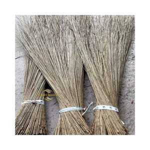 Escoba de coco premium vietnamita impermeable y ecológica, portátil, lista para usar, con mango de coco y cabezal de PP, marca Flaggedport - Product Image 5