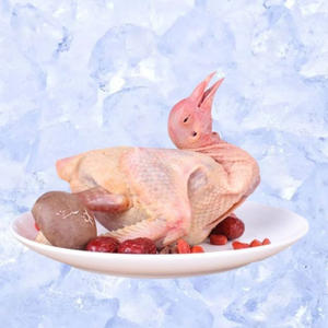 Pigeons congelés de qualité export en gros, pigeons frais congelés disponibles en grandes quantités - Product Image 3