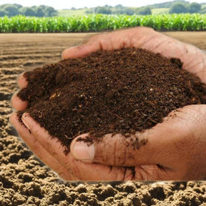 Fertilizante natural en polvo para tarta de neem de entrada orgánica, Protege las raíces de los daños por insectos, embalaje personalizado con el logotipo de la marca del comprador - Product Image 1