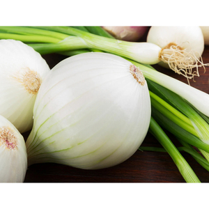 Cebolla Blanca Fresca Entera de China al Mejor Precio con Certificación BRC - Product Image 5