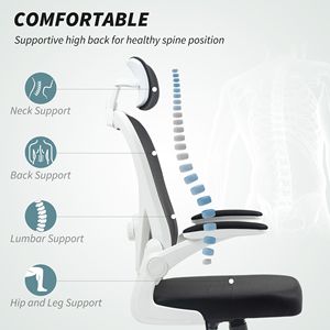 Sedia da Ufficio Ergonomica in Rete Nera con Braccioli Ribaltabili, Poggiatesta Girevole e Supporto Lombare Regolabile - Product Image 4