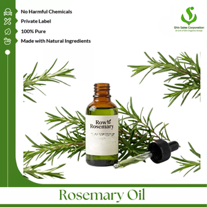 Fabricant en gros d'huile de romarin proposant des huiles essentielles de haute qualité avec emballage d'exportation pour les cosmétiques, les soins personnels et les soins capillaires - Product Image 1