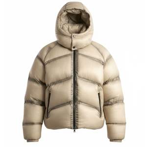 Veste matelassée à capuche translucide pour homme, manteau chaud et isolé pour l'hiver, veste à capuche élégante parfaite pour les journées froides, vêtement décontracté. - Product Image 1