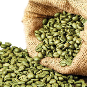[Échantillon Gratuit] +84363565928 Meilleurs Grains de Café Vert Robusta Agrikim Grade G1 Certifié ISO 100% Origine Vietnam Fournisseur Fiable - Product Image 6