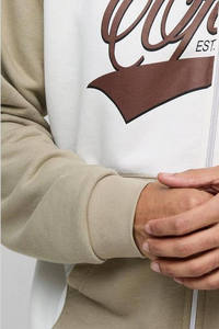 Hoodies pour homme à manches longues, coupe ample, color block, avec logo personnalisé, en coton mélangé, fermeture éclair intégrale, best-seller - Product Image 5