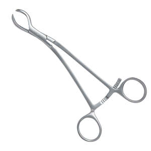 <b>Bone</b> Holding Forceps <b>Surgical</b> Stainless Steel <b>Bone</b> Holding Forcep - Product Image 1