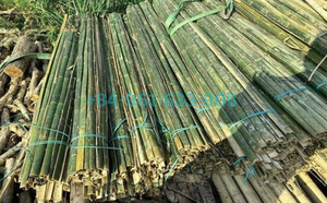 Varas de Bambú Natural para Jardinería y Agricultura – Resistentes, Ecológicas y con Longitud Personalizada de hasta 5 m - Product Image 3