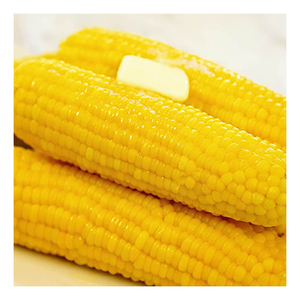 Proveedor Mayorista de Maíz Amarillo Natural Fresco, Maíz de Primera Calidad para Alimentación de Ganado y Aves de Corral - Product Image 1