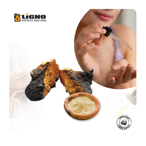 Extrait d'eau de champignon Chaga LiGNO CG06-Ex - Actif anti-oxydant et anti-pollution pour une protection cutanée - Product Image 1